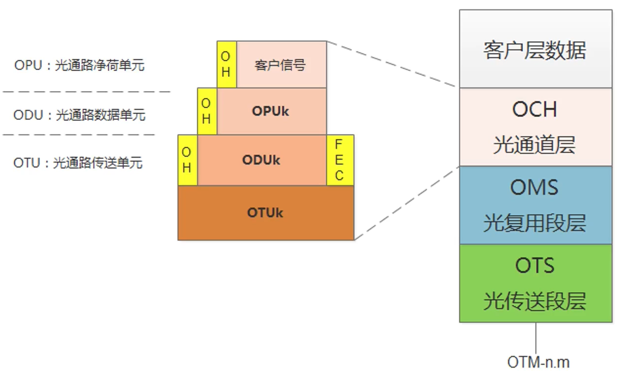 OTN网络结构
